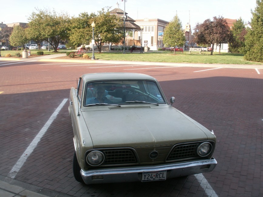 Barracuda and park.