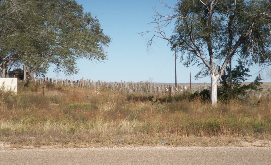 Pole Fence